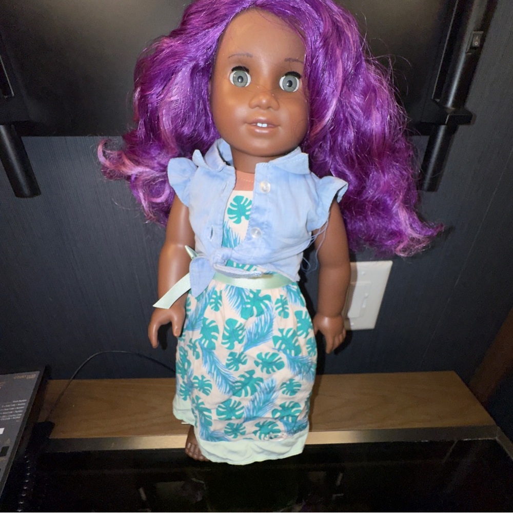 AMERICAN GIRL DOLL  PURPLE HAIR, CARRIER, ACCESORIES. EUC. - Picture 2 of 14